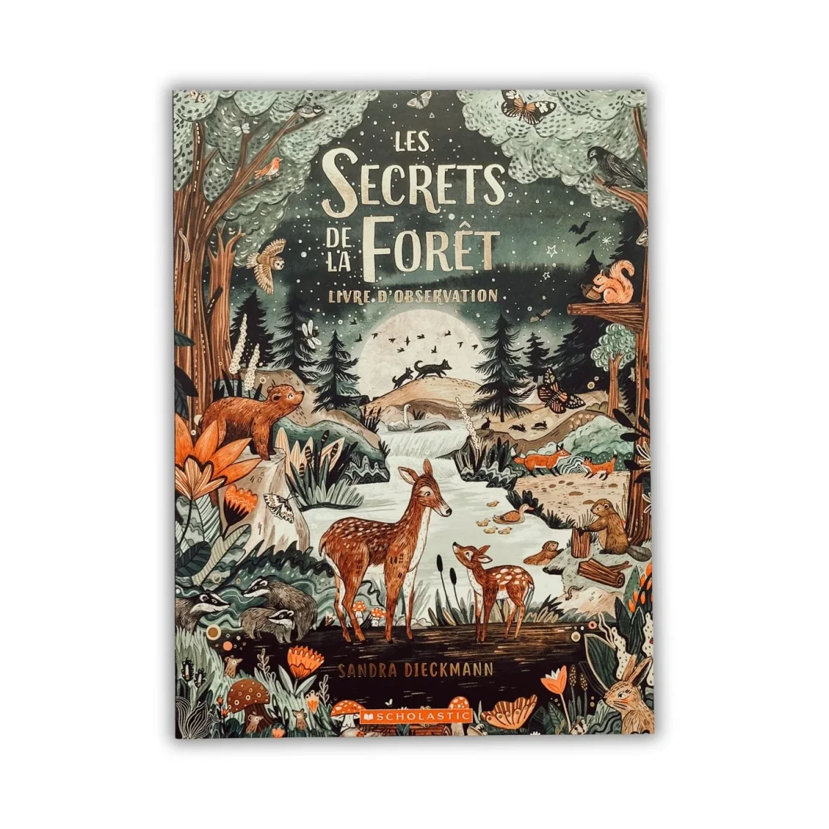 Livre d'histoire - Les secrets de la forêt