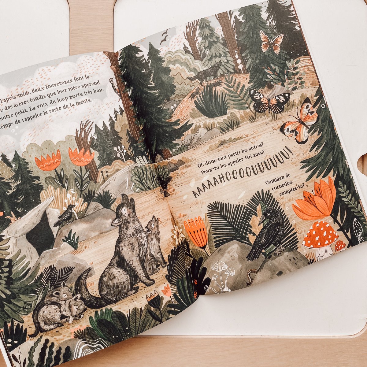 Livre d'histoire - Les secrets de la forêt – Image 3