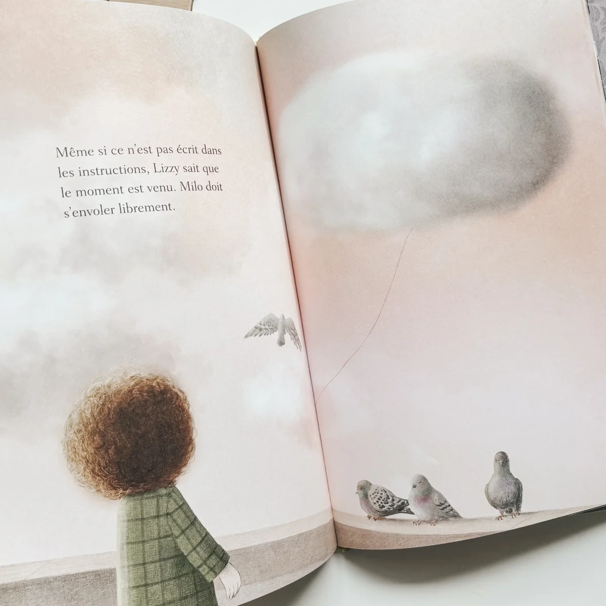 Livre d'histoire - Lizzie et son nuage – Image 2