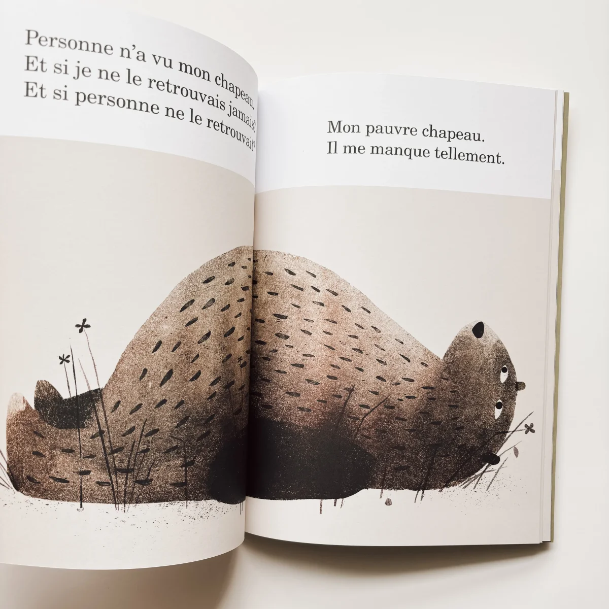 Livre d'histoire - Rendez-moi mon chapeau – Image 2