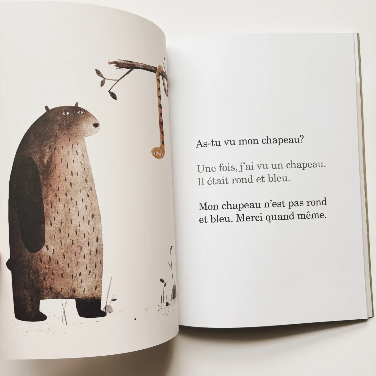 Livre d'histoire - Rendez-moi mon chapeau – Image 3